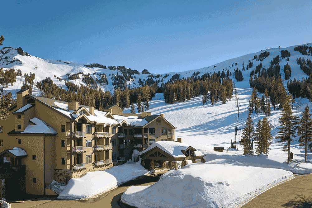 2024 Cyber Sale Digital Images