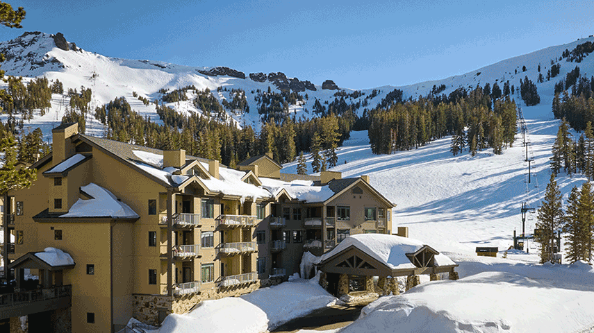 2024 Cyber Sale Digital Image